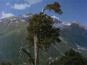 Кабардино-Балкария. Фото: с сайта elbrusoid.ru (с)