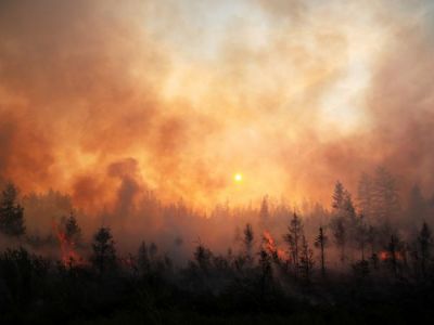 Лесные пожары. Фото: Светлана Павлова/ТАСС